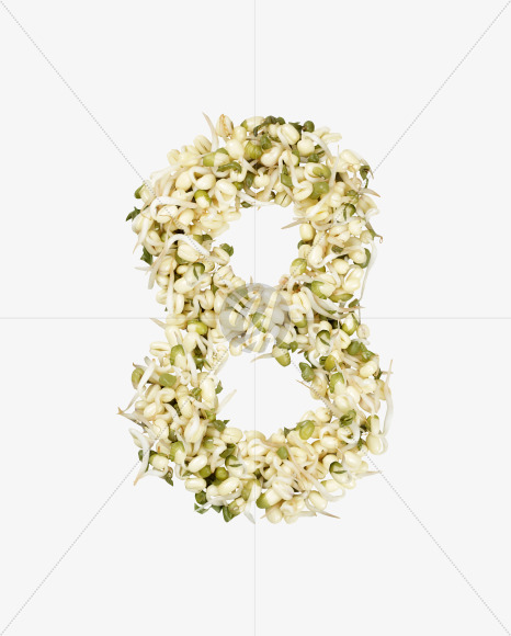 8