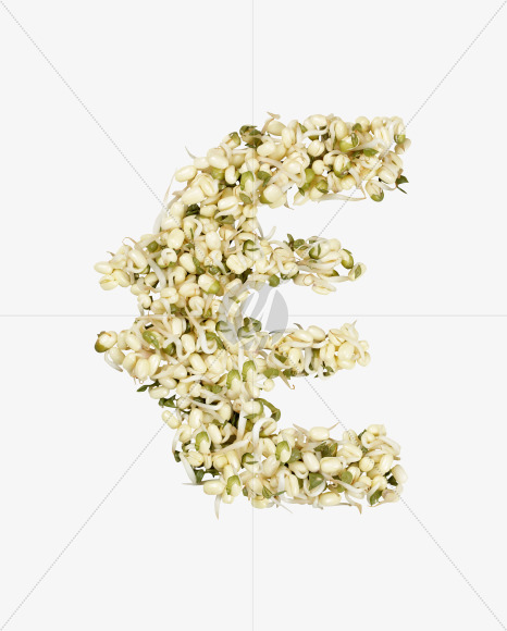 euro