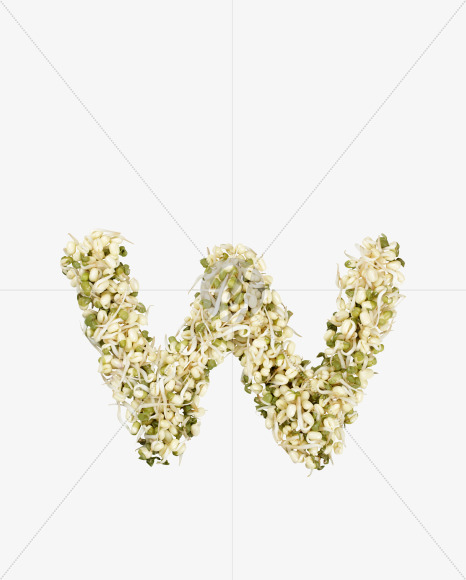 Letter W from Sprout Font on Yellow Images Creative Fonts - S36155