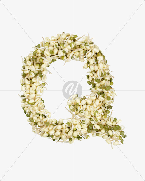 Letter Q from Sprout Font on Yellow Images Creative Fonts - S36149