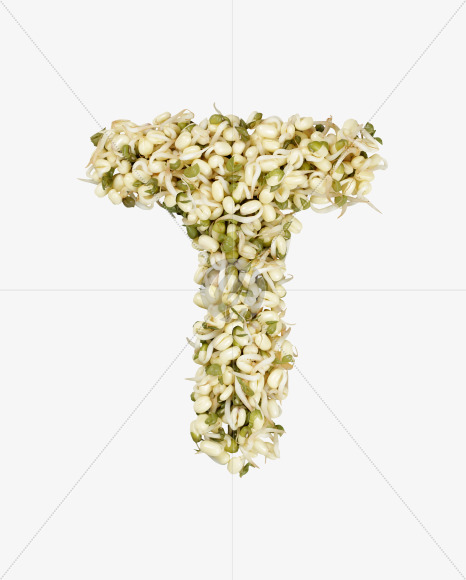 Letter T from Sprout Font on Yellow Images Creative Fonts - S36152