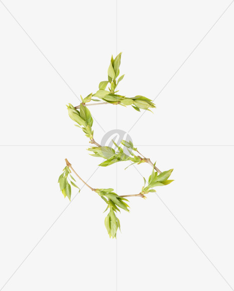 $
