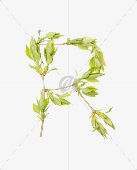 R