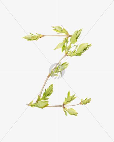 Letter Z from Spring Branch Font on Yellow Images Creative Fonts - S36296