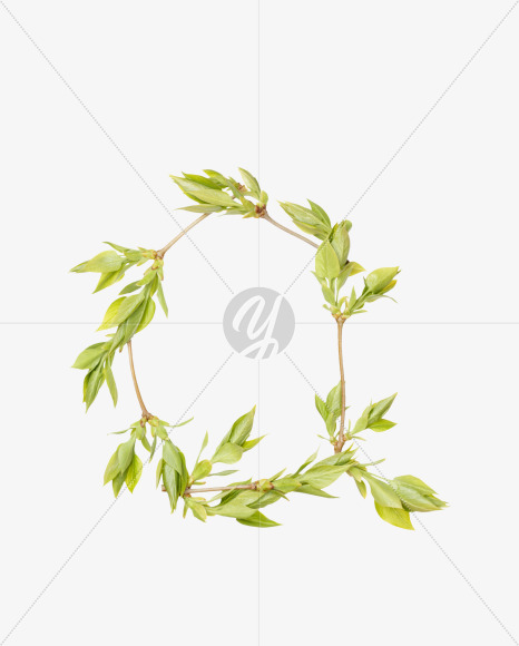 Letter Q from Spring Branch Font on Yellow Images Creative Fonts - S36287