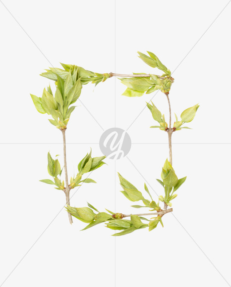 Letter O from Spring Branch Font on Yellow Images Creative Fonts - S36285