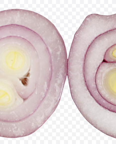 Letter L from Onions Font on Yellow Images Creative Fonts - S36614