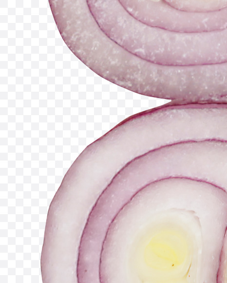 Letter E from Onions Font on Yellow Images Creative Fonts - S36607