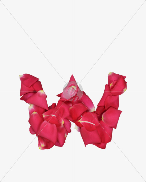 Letter W from Red Rose Petals Font on Yellow Images Creative Fonts - S37007