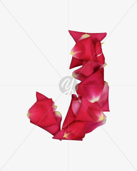 Letter J from Red Rose Petals Font on Yellow Images Creative Fonts - S36994