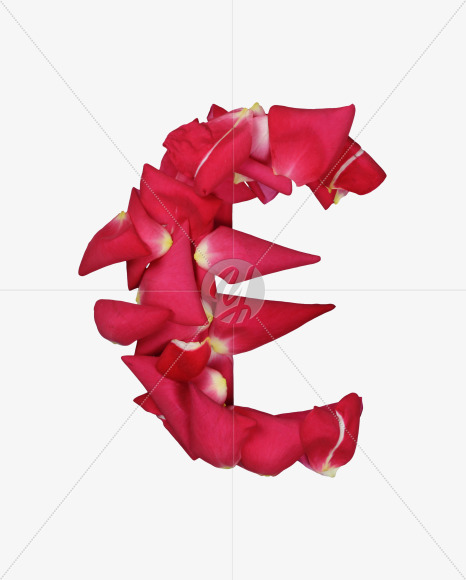 euro from Red Rose Petals Font on Yellow Images Creative Fonts - S37026