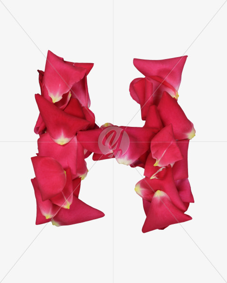 Letter H from Red Rose Petals Font on Yellow Images Creative Fonts - S36992