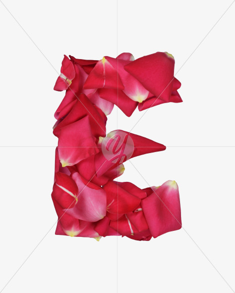 Letter E from Red Rose Petals Font on Yellow Images Creative Fonts - S36989