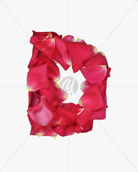 Letter D from Red Rose Petals Font on Yellow Images Creative Fonts - S36988