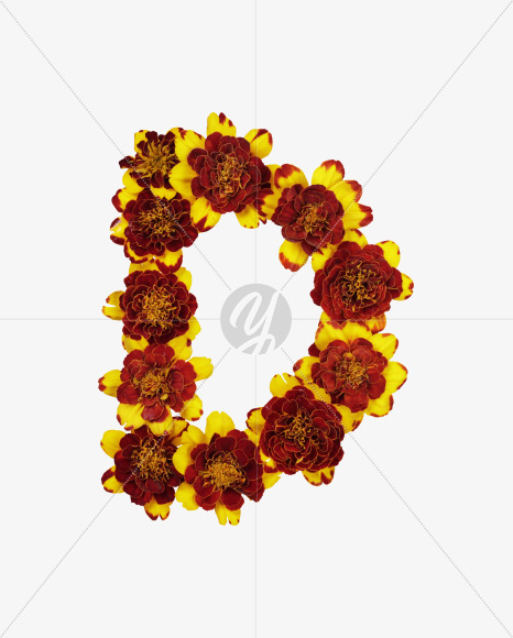 Letter D from Red Flowers Font on Yellow Images Creative Fonts - S37115