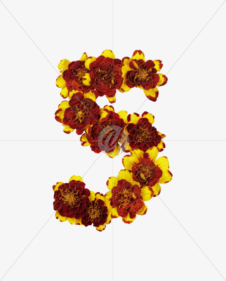 5 from Red Flowers Font on Yellow Images Creative Fonts - S37142