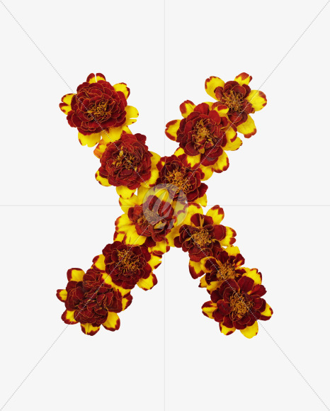 Letter X from Red Flowers Font on Yellow Images Creative Fonts - S37135