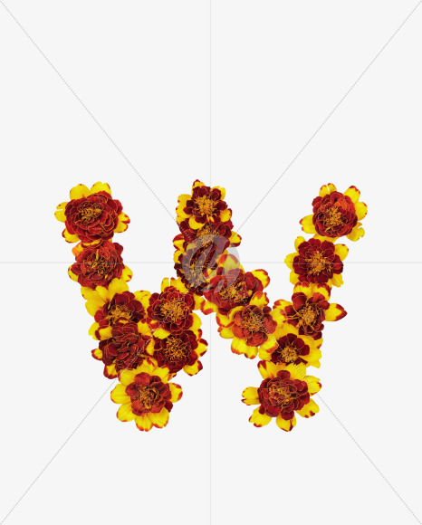 Letter W from Red Flowers Font on Yellow Images Creative Fonts - S37134