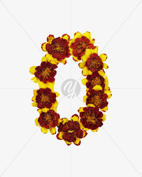 0 from Red Flowers Font on Yellow Images Creative Fonts - S37147