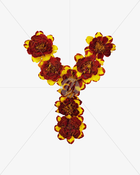 Letter Y from Red Flowers Font on Yellow Images Creative Fonts - S37136