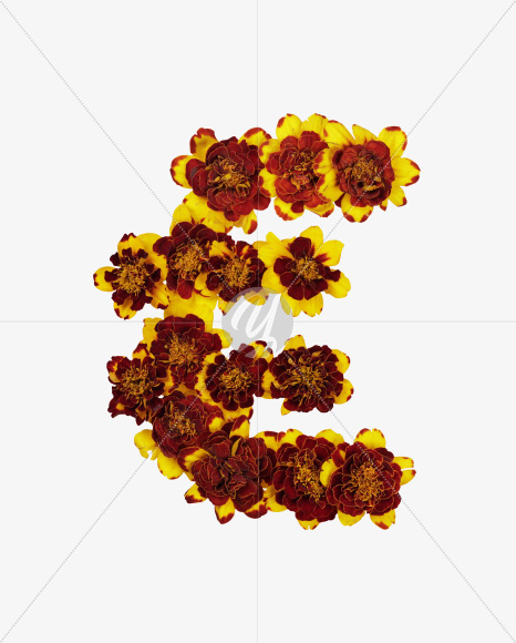 euro from Red Flowers Font on Yellow Images Creative Fonts - S37150