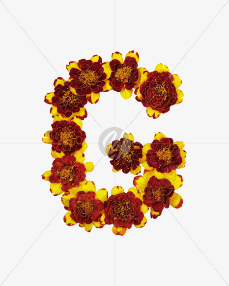 Letter G from Red Flowers Font on Yellow Images Creative Fonts - S37118