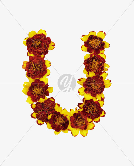 Letter U from Red Flowers Font on Yellow Images Creative Fonts - S37132