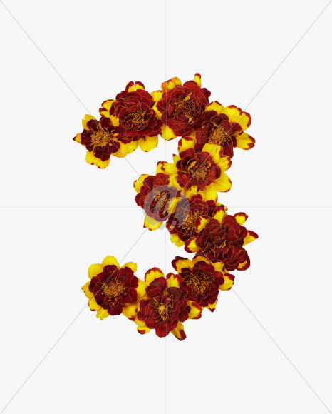 3 from Red Flowers Font on Yellow Images Creative Fonts - S37140