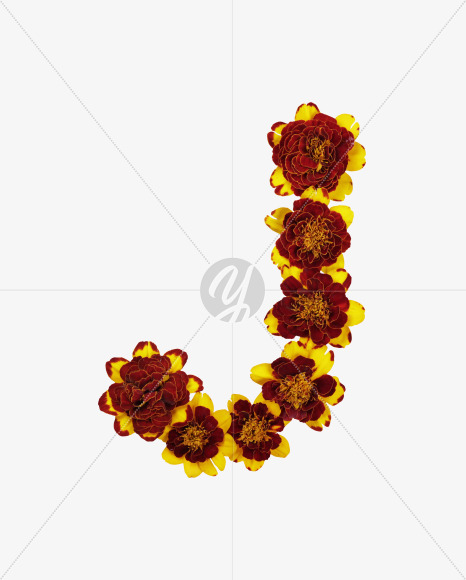 Letter J from Red Flowers Font on Yellow Images Creative Fonts - S37121