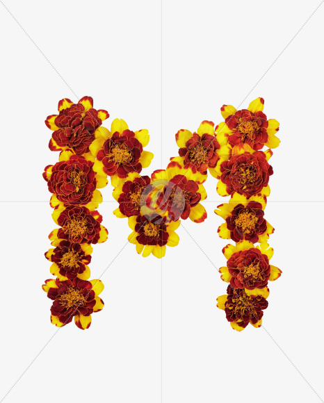 Letter M from Red Flowers Font on Yellow Images Creative Fonts - S37124