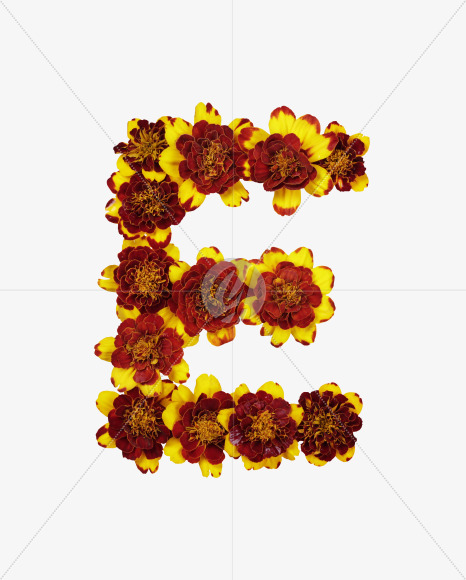 Letter E from Red Flowers Font on Yellow Images Creative Fonts - S37116