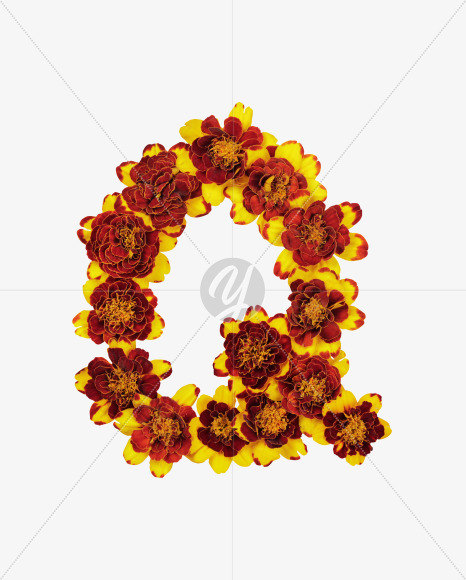 Letter Q from Red Flowers Font on Yellow Images Creative Fonts - S37128