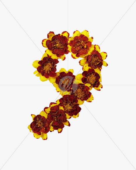 9 from Red Flowers Font on Yellow Images Creative Fonts - S37146