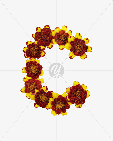 Letter C from Red Flowers Font on Yellow Images Creative Fonts - S37114