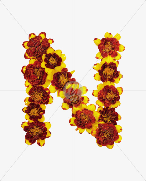 Letter N from Red Flowers Font on Yellow Images Creative Fonts - S37125