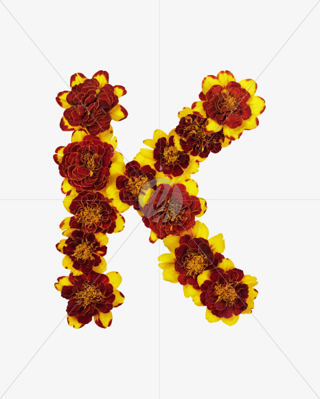 Letter K from Red Flowers Font on Yellow Images Creative Fonts - S37122