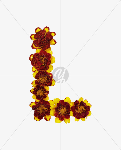 Letter L from Red Flowers Font on Yellow Images Creative Fonts - S37123