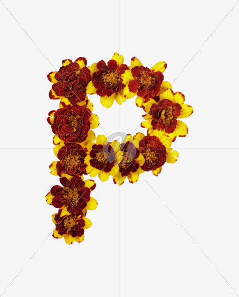 Letter P from Red Flowers Font on Yellow Images Creative Fonts - S37127