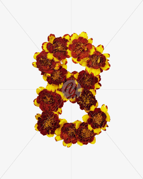 8 from Red Flowers Font on Yellow Images Creative Fonts - S37145