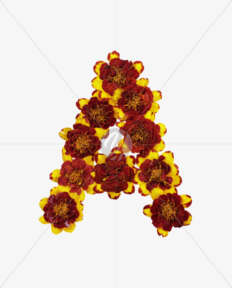 Letter A from Red Flowers Font on Yellow Images Creative Fonts - S37112