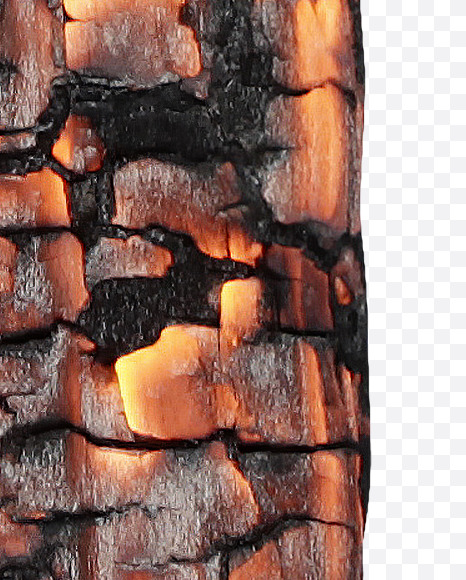 9 from Burned Wood Font on Yellow Images Creative Fonts - S37425