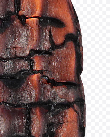 Letter R from Burned Wood Font on Yellow Images Creative Fonts - S37408