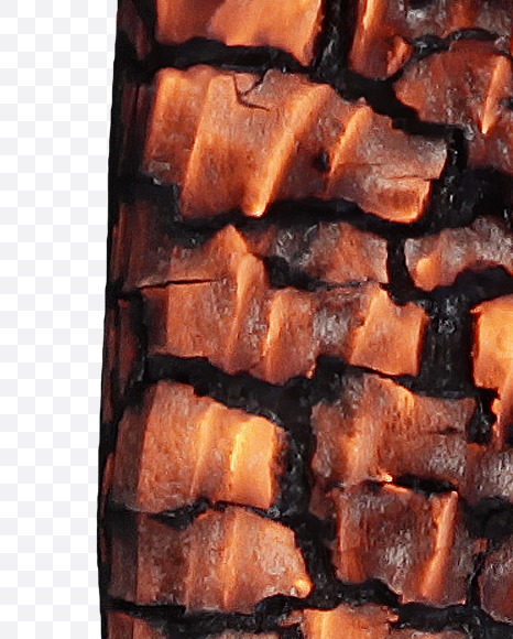 Letter H from Burned Wood Font on Yellow Images Creative Fonts - S37398