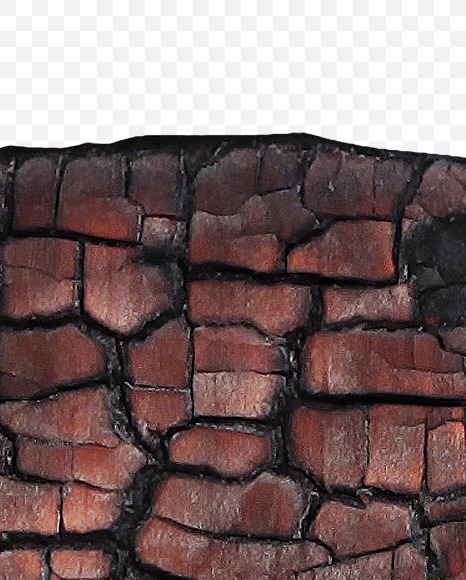 Letter D from Burned Wood Font on Yellow Images Creative Fonts - S37394