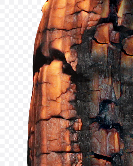 Letter Q from Burned Wood Font on Yellow Images Creative Fonts - S37407