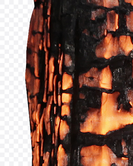 Letter I from Burned Wood Font on Yellow Images Creative Fonts - S37399