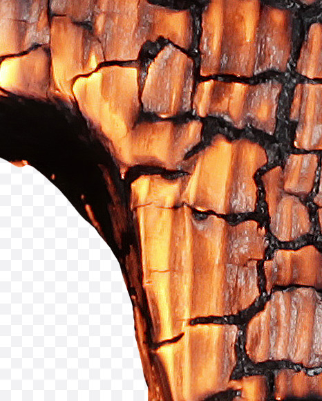 0 from Burned Wood Font on Yellow Images Creative Fonts - S37426