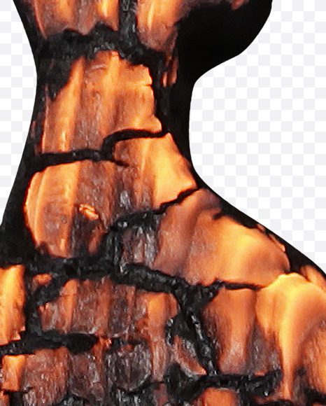 ! from Burned Wood Font on Yellow Images Creative Fonts - S37427