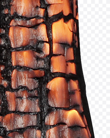 ( from Burned Wood Font on Yellow Images Creative Fonts - S37429