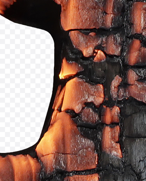 Letter G from Burned Wood Font on Yellow Images Creative Fonts - S37397